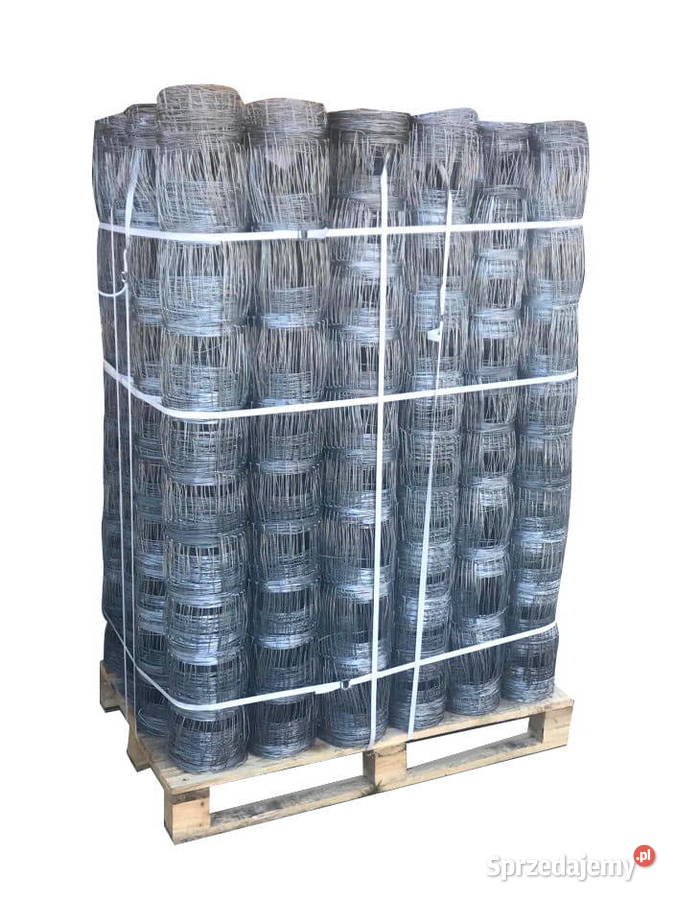 Siatka leśna ocynkowana L 1501030 50mb różne Cieśle