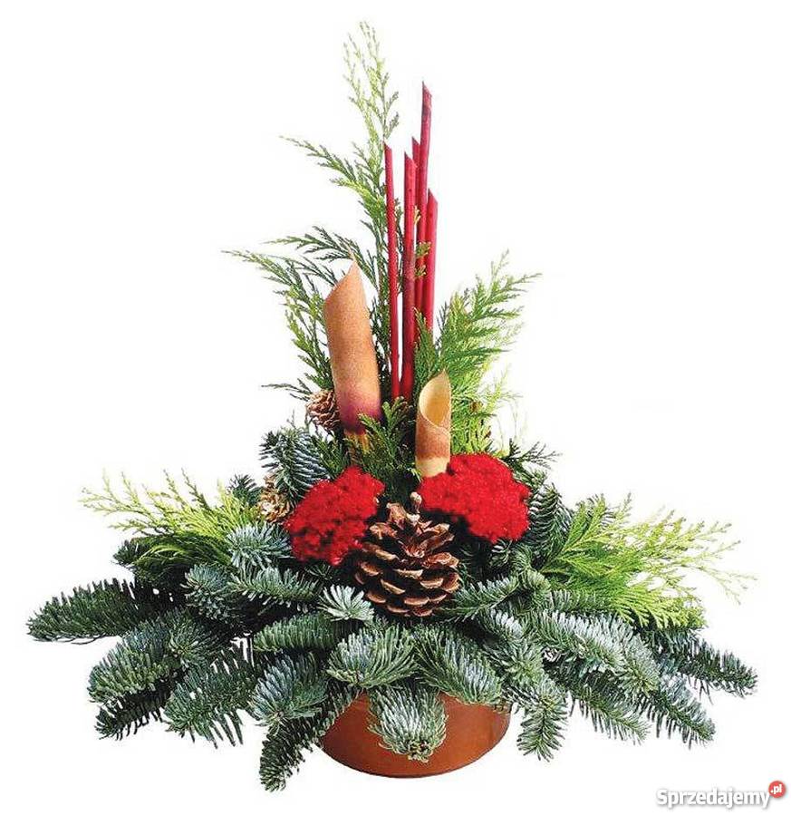 Choinki Świerk JodłaOzdobychoinki ręcznie mazowieckie Siedlce