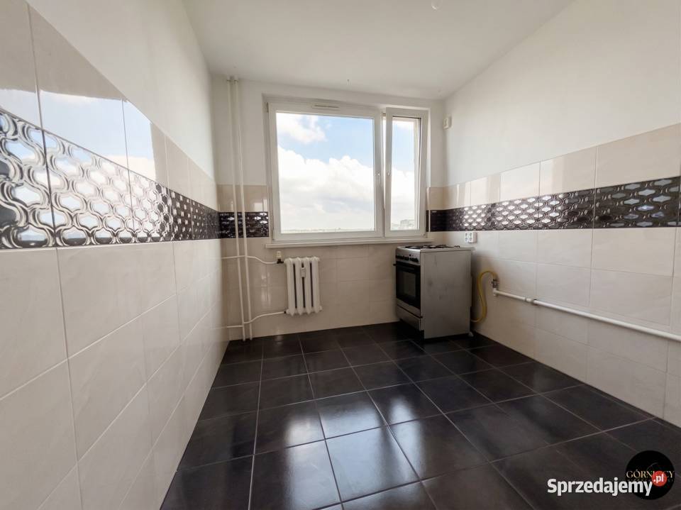 3 pokoje 539 m Rozkład Różanka 7 piętro Bez Sprzedaż Wrocław