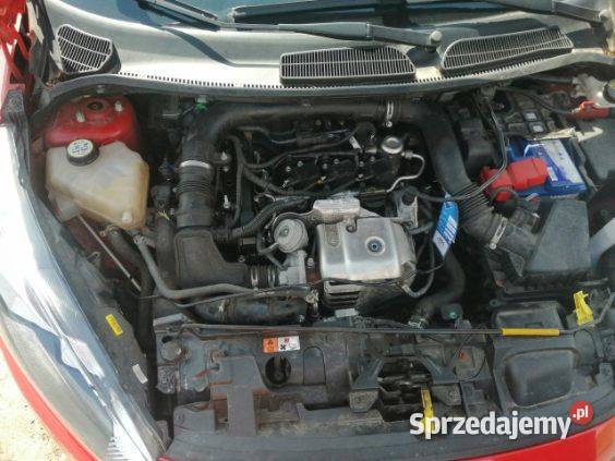 Samochód Ford Ford Krotoszyn