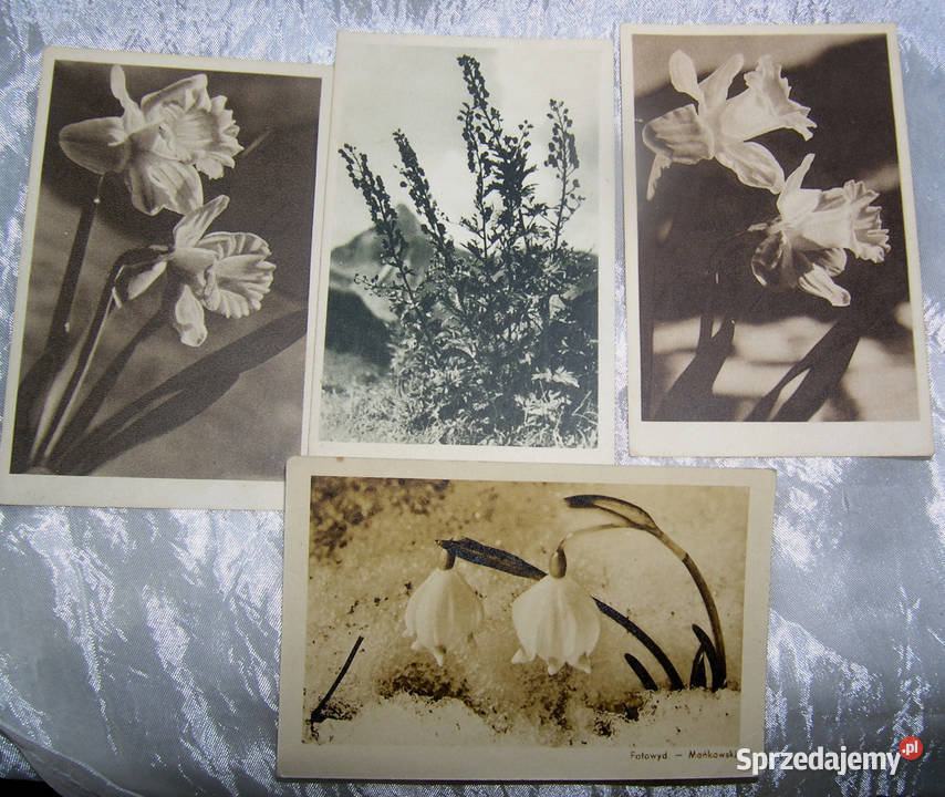 pocztówki vintage fotografie W PuchalskiegoD Bartków