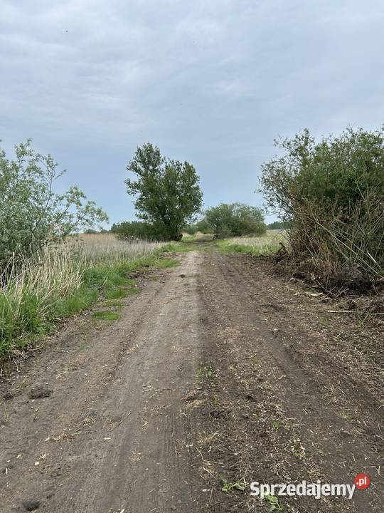 Działka z dostępem do naturalnego stawu 1091 m2 Sprzedaż Baranów