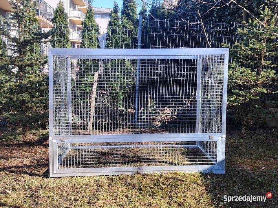 Wyloty gołębi śląskie Częstochowa