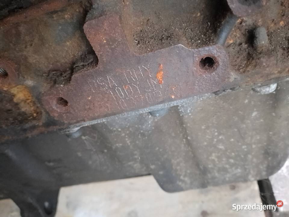 Silnik peugeot citroen 20 HDi 90 rhy wielkopolskie