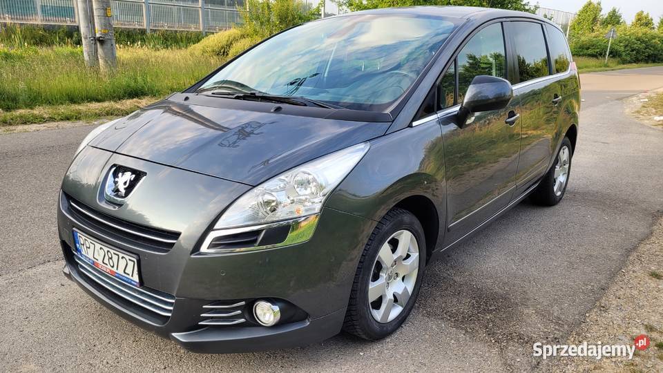 Peugeot 5008 16 benz Żuklin