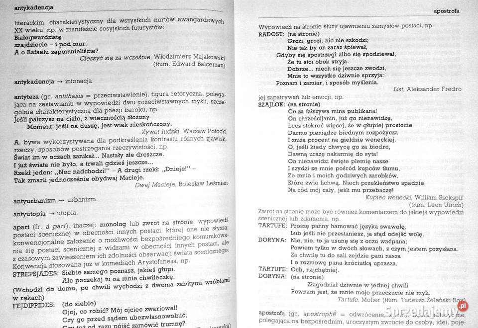 Szkolny słownik terminów literackich Tomasz Chełm