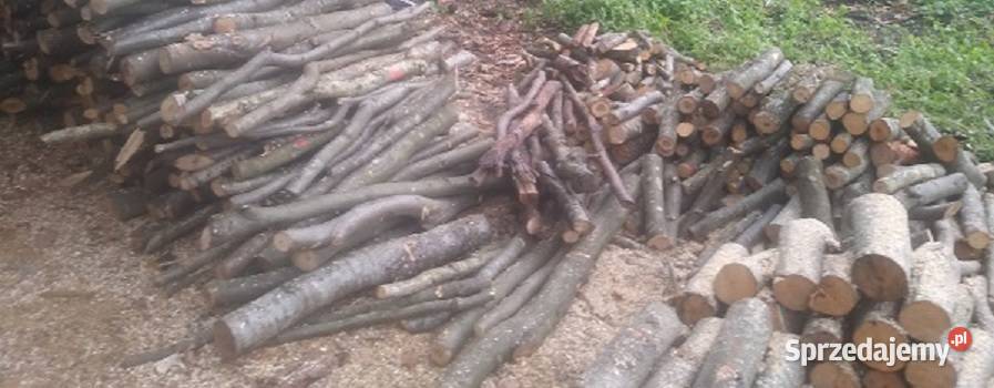 Drewno opałowe SAM BUK Transport