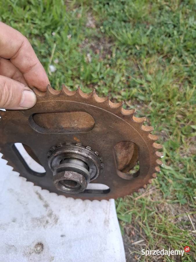 Jawa 175 zabieraki tylnego koła 100 świętokrzyskie Włoszczowa