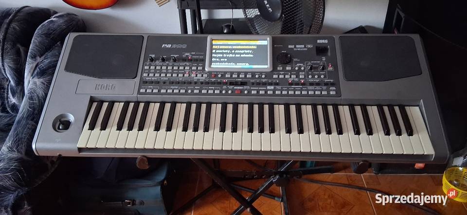 Korg PA900 Radomsko