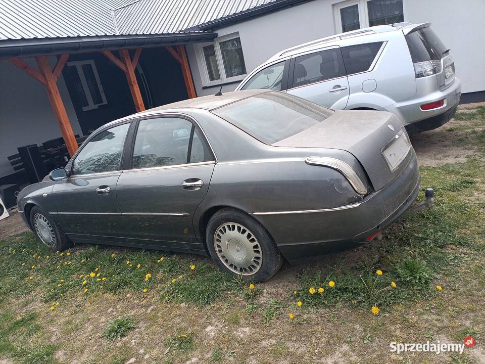 Lancia thesis Korycin