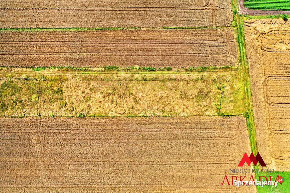 sprzedaży działki 1193m2 Grodztwo