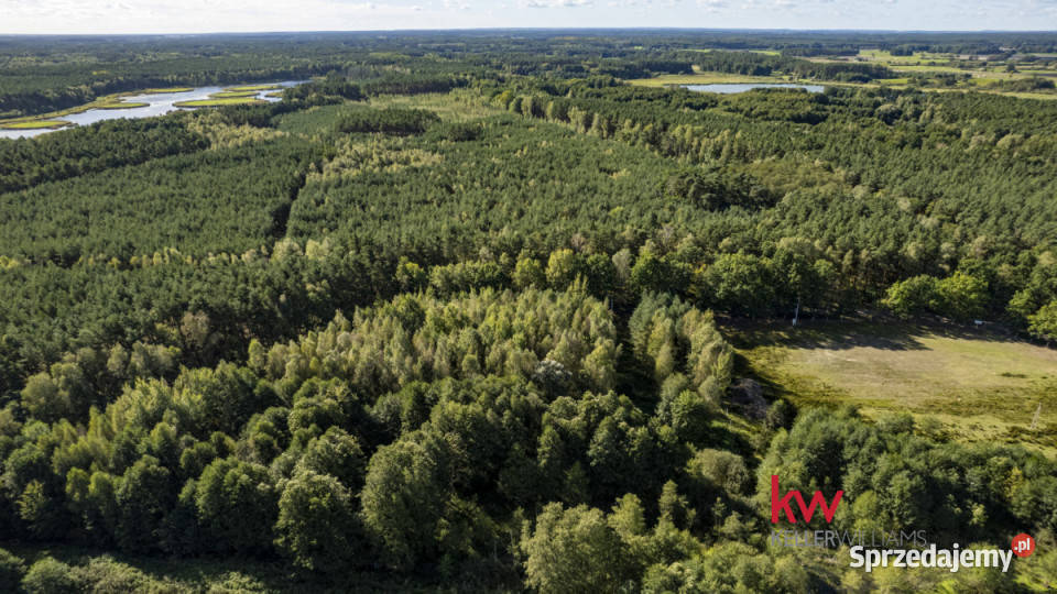 Działka TrzcielOdbudowa 6632m2 wielkopolskie Trzciel-Odbudowa sprzedam