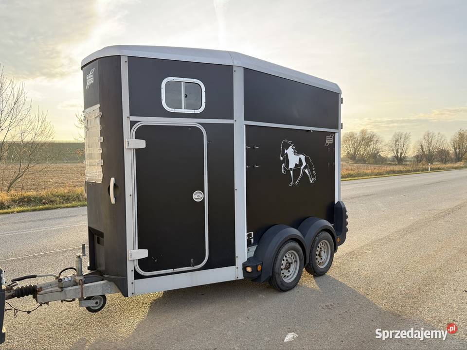 Ifor williams przyczepa do koni 2009r Solnica sprzedam