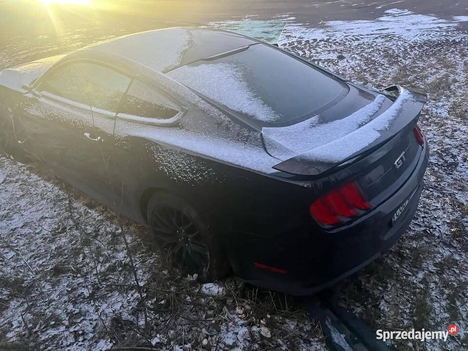 FORD Mustang GT 50 kujawsko-pomorskie