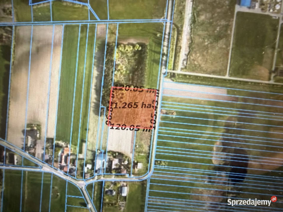 Działka 126 ha pod zabudowę WZ projekt Piotrków Trybunalski