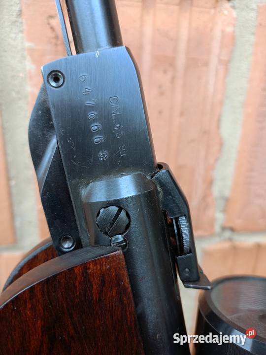 Slavia 631 Rząśnia