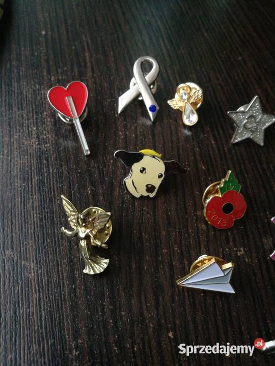 Piny wpinki motylek Choszczno sprzedam