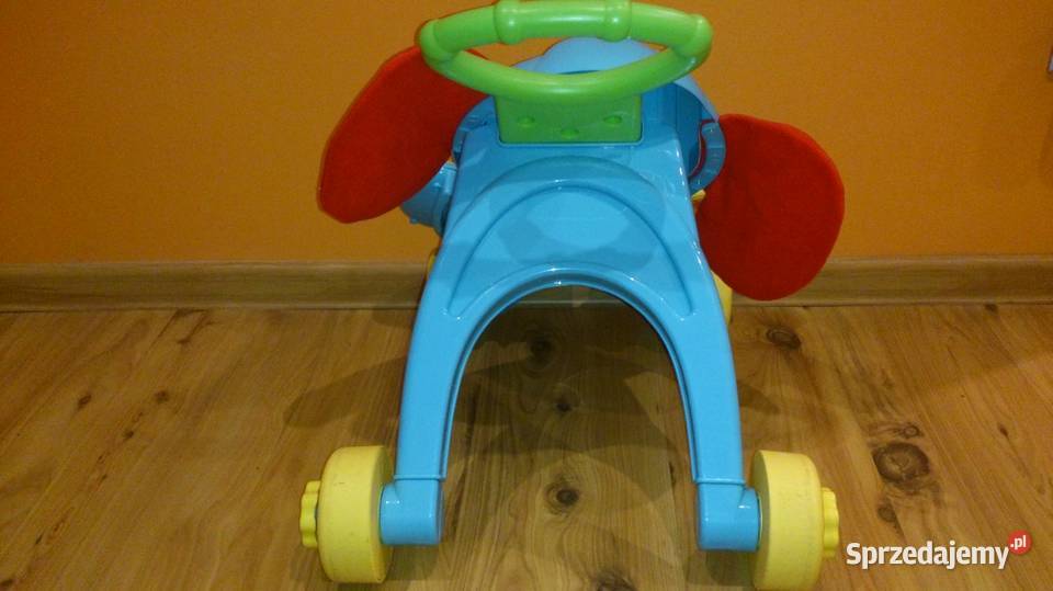 Chodzik Pchacz ZebraInteraktywny Zielona Góra