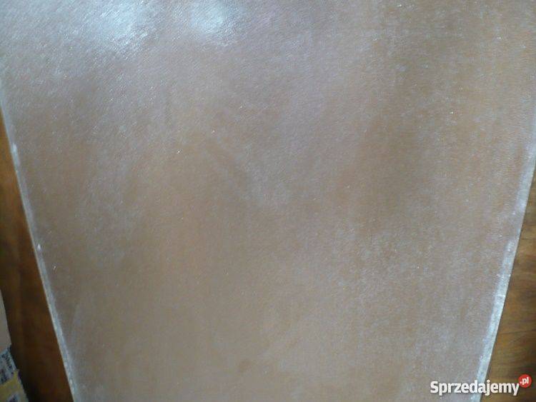 Szyba do drzwi 142 x 542 Drzwi i okna