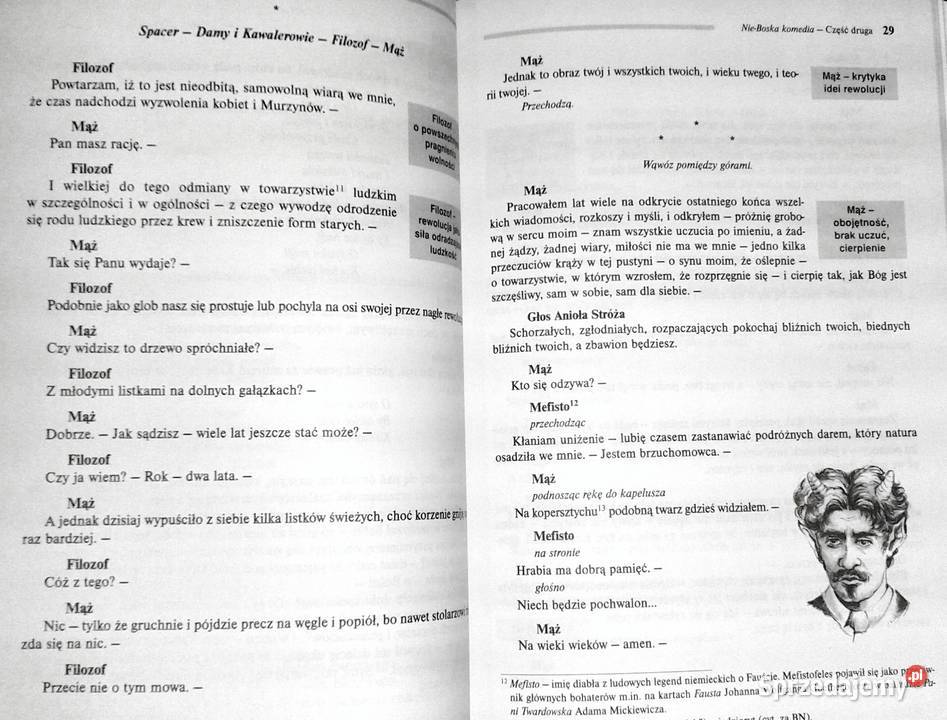 NieBoska komedia Lektura z opracowaniem Zygmunt miękka Chełm