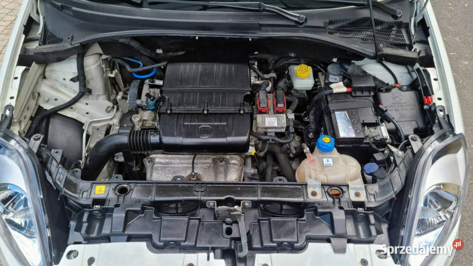 Fiat Punto Evo Klima Prosty Silnik Niski Hatchback Płońsk