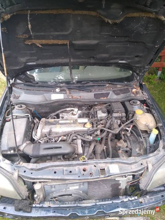 Opel Astra Coupe Bertone Z22SE części Skrzynia Wiązów