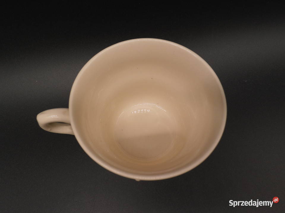 Angielska Filiżanka Vintage Ironstone England Raszków