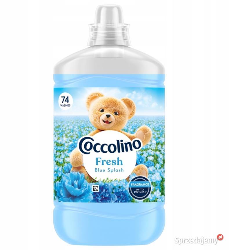 Coccolino Fresh Blue Splash płyn do płukania Koło