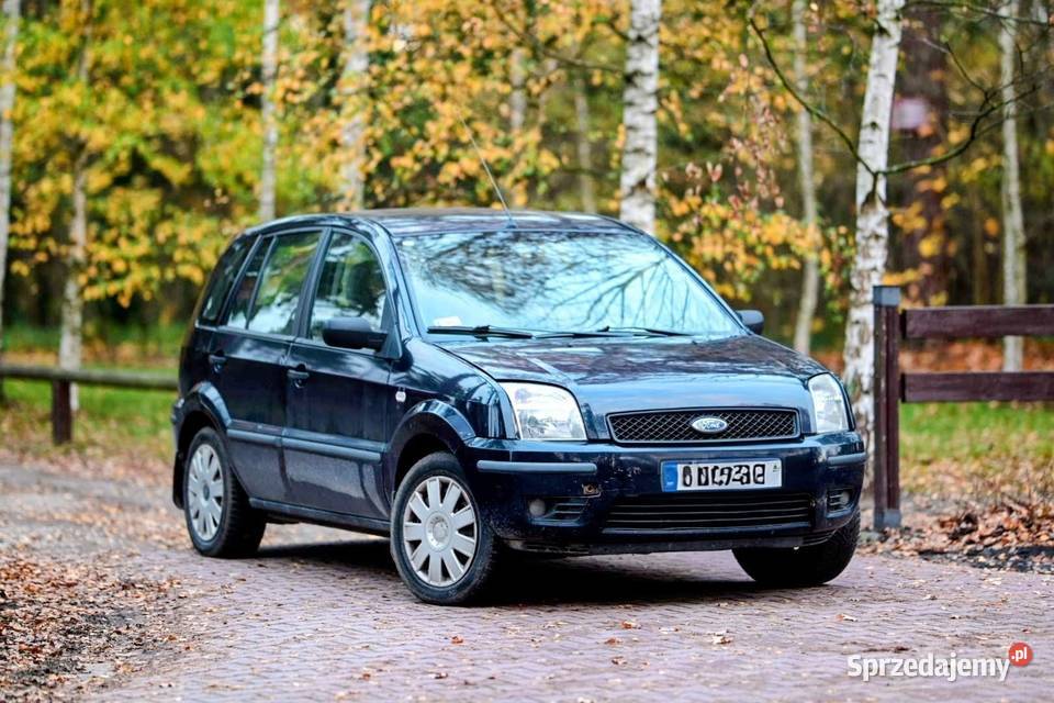 Ford Fusion 14 TDCi 2004 diesel tanio Piaseczno
