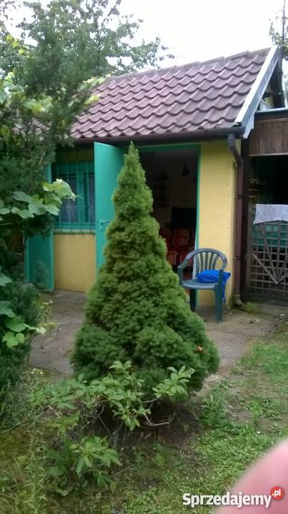 Działka rekreacyjna Paulinów Głogów