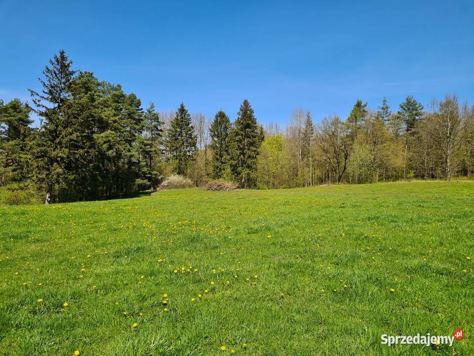 Tania budowlana jeziorem Blanki