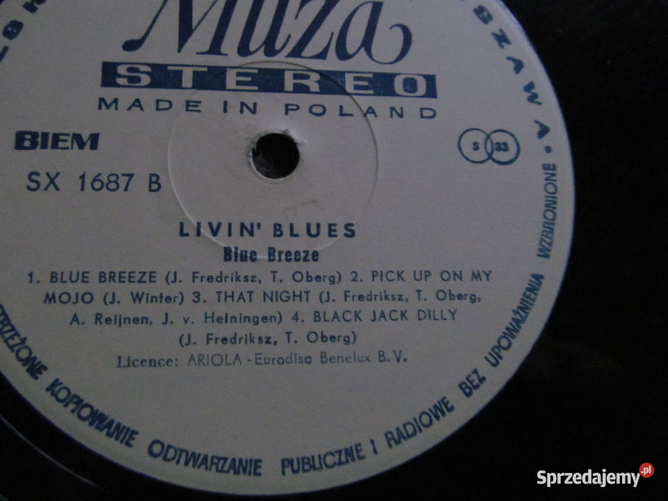 Livinblue i Philharmonic Orchestra zestaw 2 płyt płyta winylowa Lublin