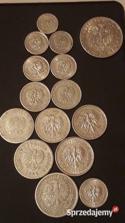 1 grosz 5 groszy 50 groszy 1 złoty monety 1949 r Numizmatyka Pszów sprzedam