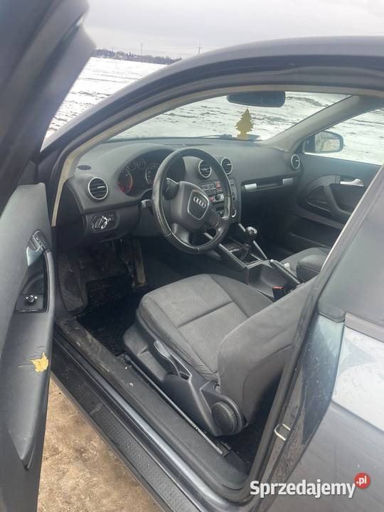 Audi A3 8P 16MPI