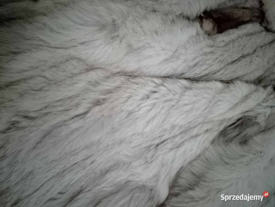 płaszcz futro ca norwegian bluefox XL