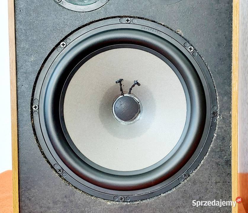 Kolumny RT Głośniki SEAS PHILIPS AlNiCo Made In Starachowice