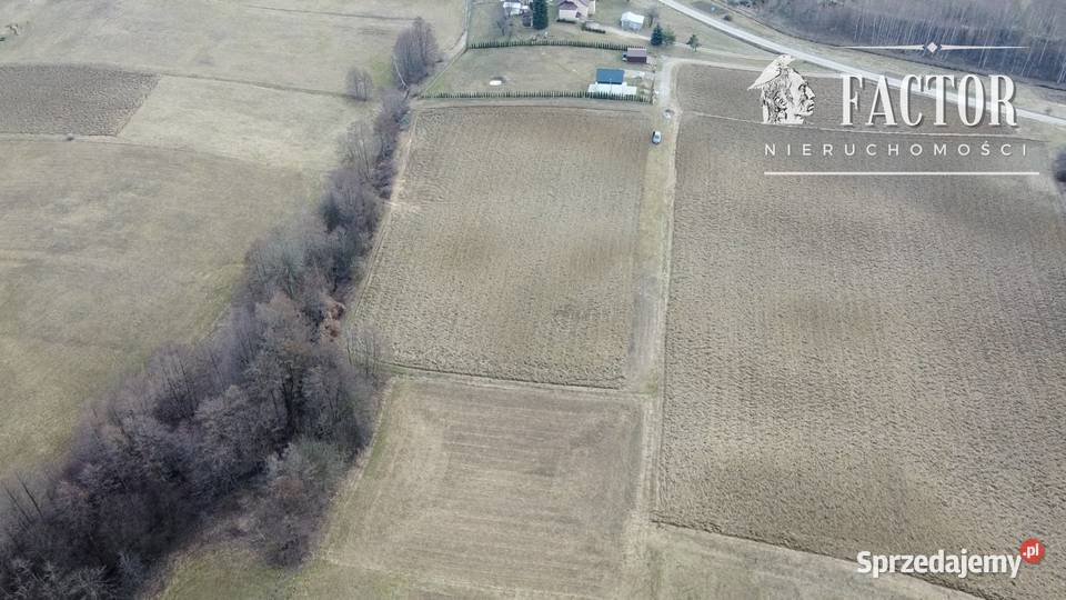 Działka budowlana 20 a na Polesiu Dominikowice Sprzedaż małopolskie