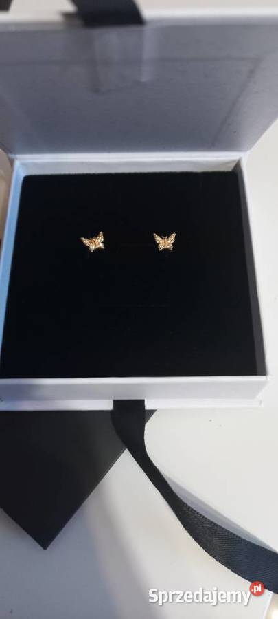 Kolczyki Motylki Małocice