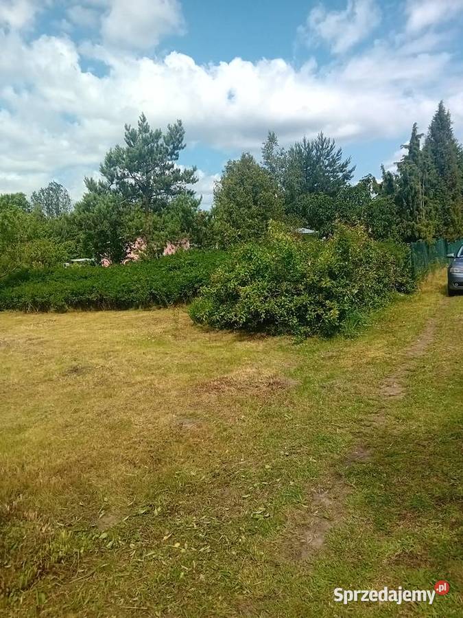 Usługi ogrodniczesprzątanie działek Lubartów