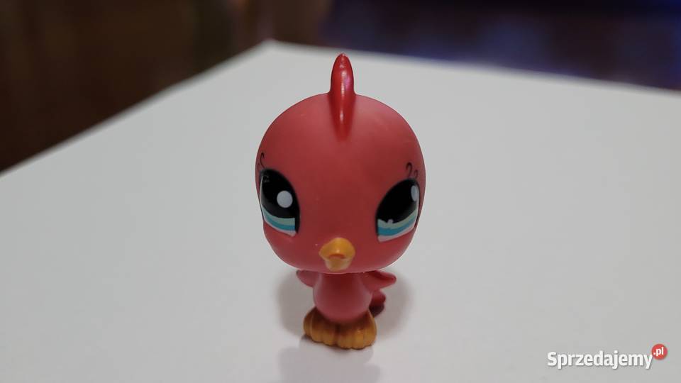 Littlest Pet Shop Papuga 4 lata+ Piekary Śląskie