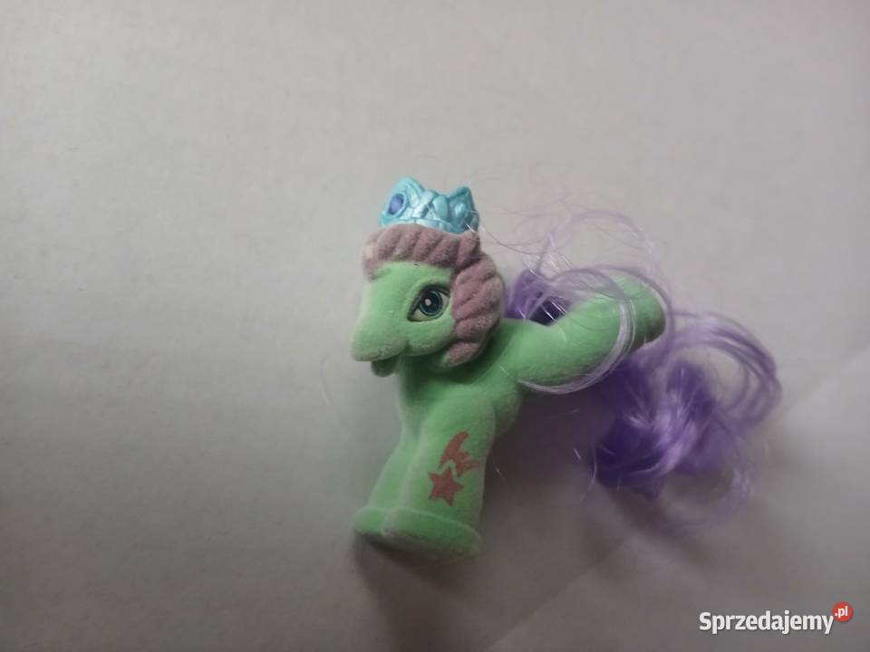 Kucyk Filly Royale Książe Glory