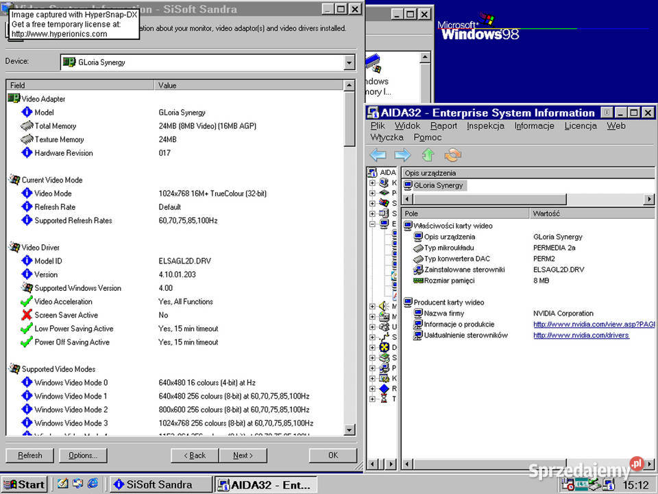 ELSA Gloria Synergy Permedia II Winner 2000 44MB Cielądz sprzedam