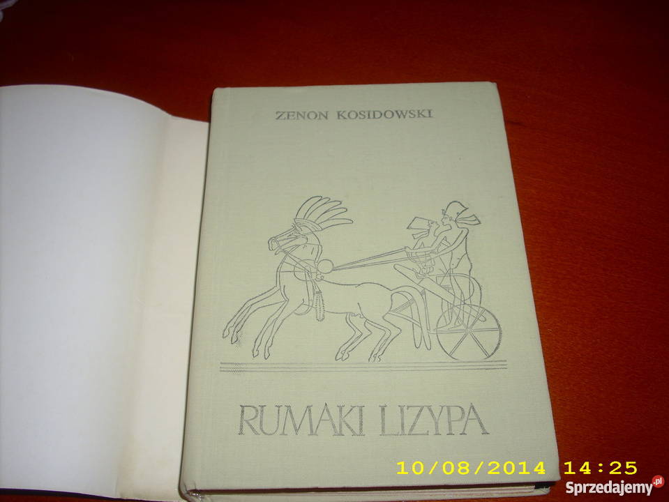 Rumaki Lizypa Z Kosidowski Goleniów