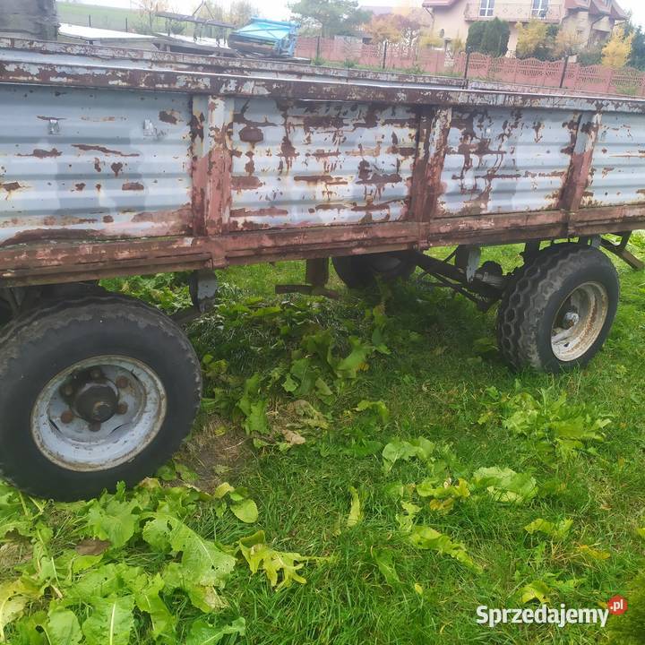 Przyczepa rolnicza D43 nieuszkodzony Pniówek