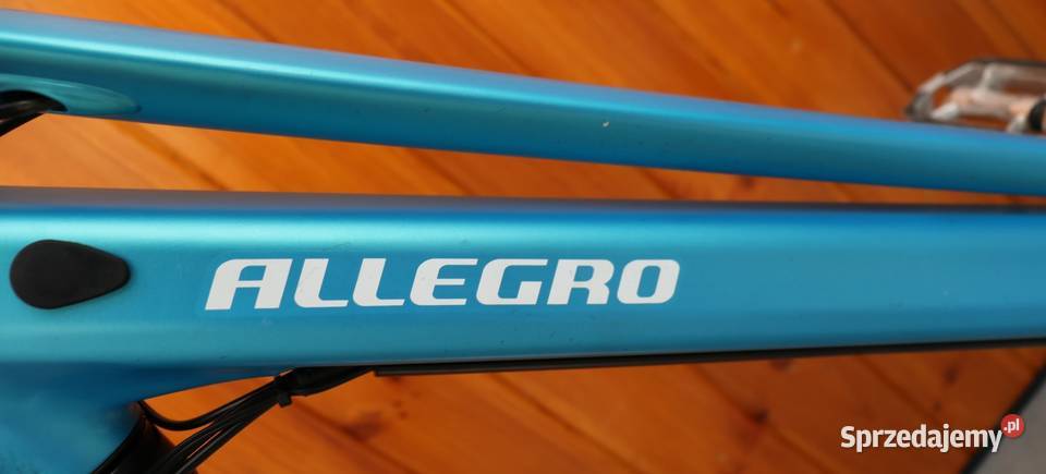 Rower elektryczny Allegro D 48