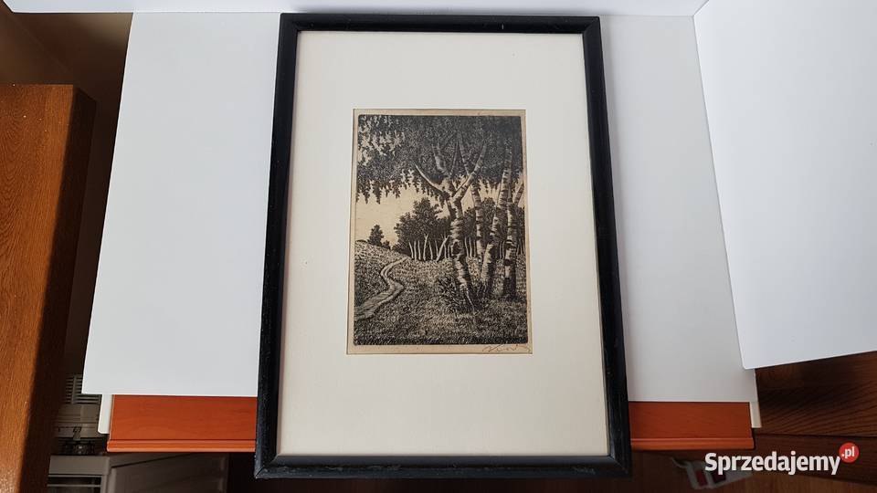 Stara sygnowana grafika Brzozy Dąbrowa Górnicza
