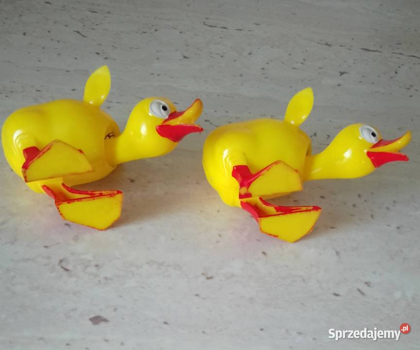 Kaczki z ruchomą główką Nakło nad Notecią