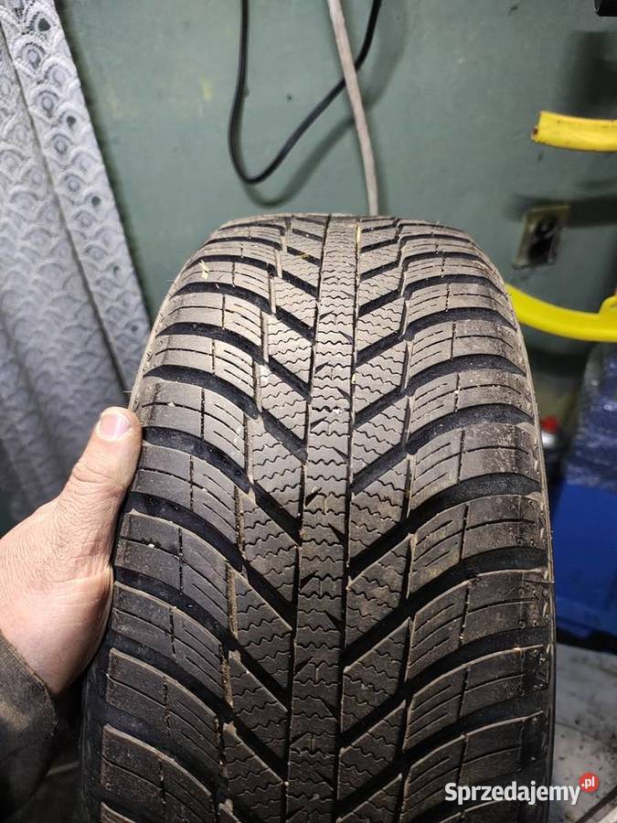 Opony nexen 19550r15 wielosezonowe Opony