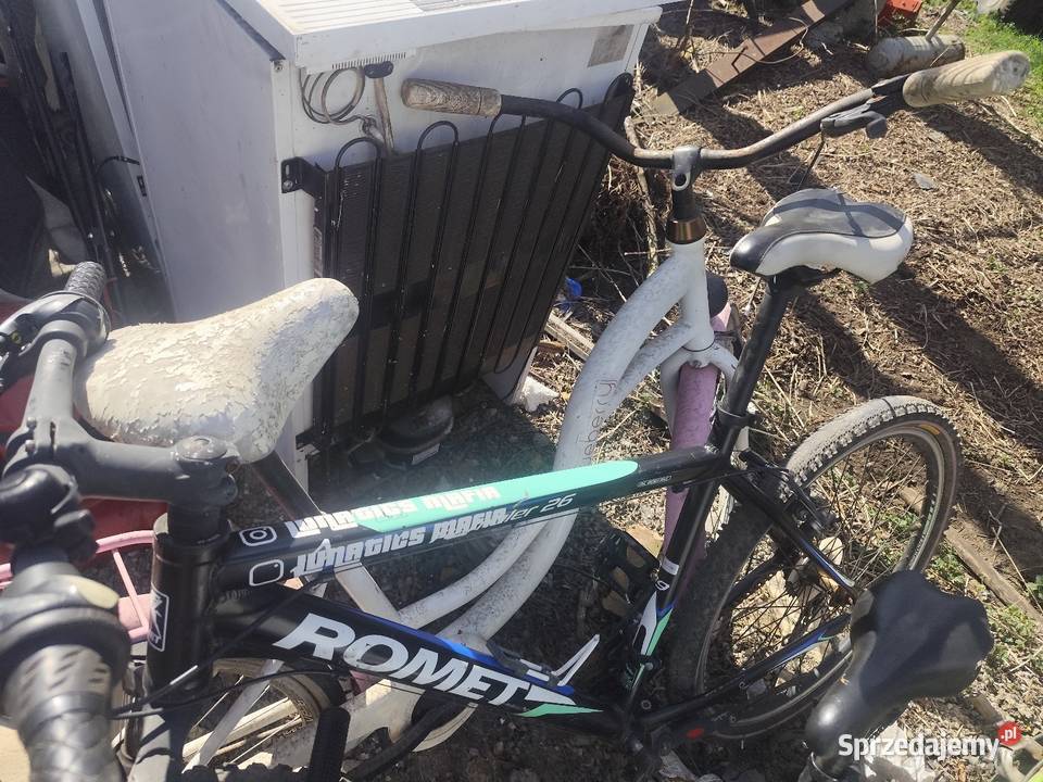 Pakiet rowerów Rakoniewice