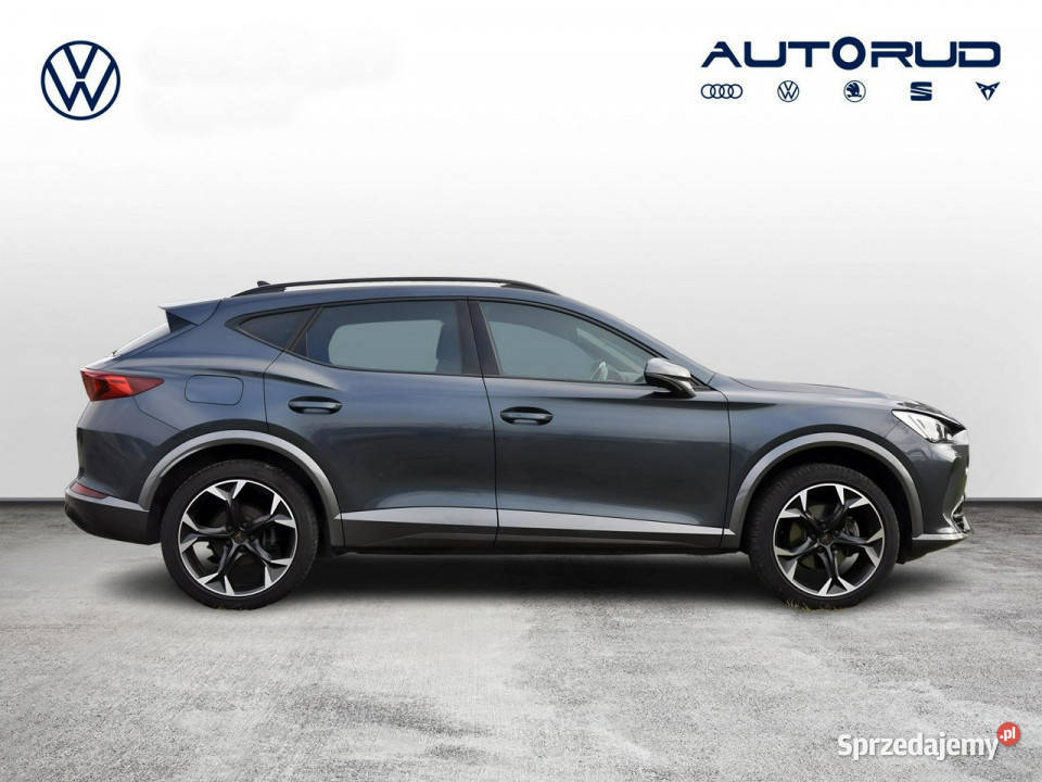 Cupra Formentor 15TSI 150 DSG Ambiente Kamera benzyna Stalowa Wola